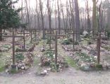 Cmentarz leśny w Laskach