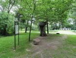 Dąb katyński przy cmentarzu Trzy Dęby w Pszczynie