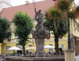 Swidnica Rynek fontanna