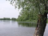 Jezioro Dziekanowskie