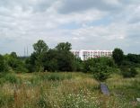 Podgorze old Jewish cemetery (general view to NE), 25 Jerozolimska street, Podgórze, Krakow, Poland