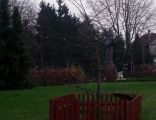 Pomnik Jana Pawła II w Lesznie - dąb