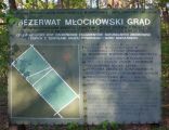 Rezerwat Młochowski Grąd