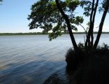 Jezioro Sarbsko