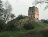 Tudorów, ruiny zamku