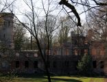 Ruiny pałacu w Dolsku